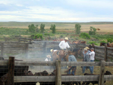 USA-Montana-Lonesome Spur Ranch